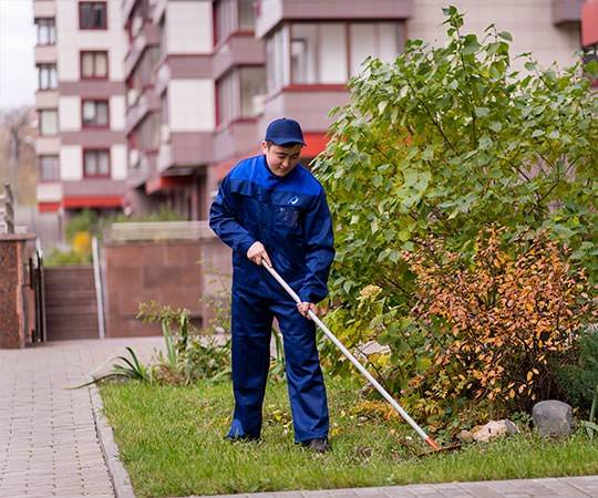 Уборка территории в Реутове и  Московской области